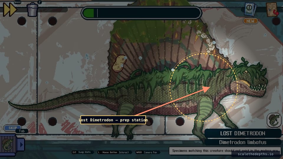 Lost Dimetrodon (Dimetrodon limbatus) on the prep station — the card admits it 'should not exist in the modern era.' Catching it isn't enough; finish the prep.